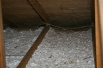 IMG_1600, Matted Insulation, Chewed Electrical.JPG